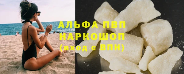 стафф Алексин