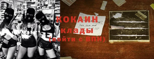 стафф Алексин