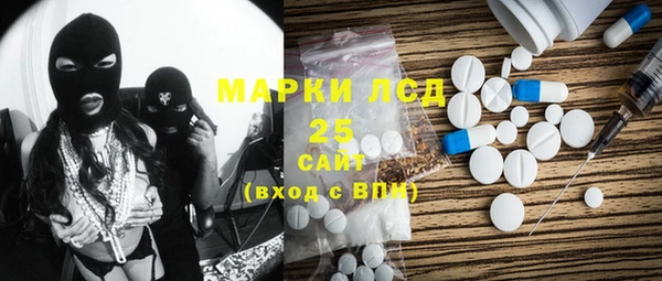 PSILOCYBIN Алзамай