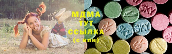 PSILOCYBIN Алзамай