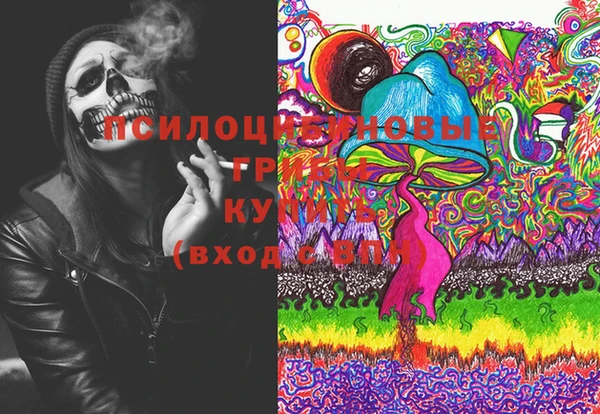 PSILOCYBIN Алзамай