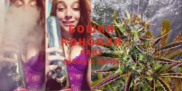 PSILOCYBIN Алзамай