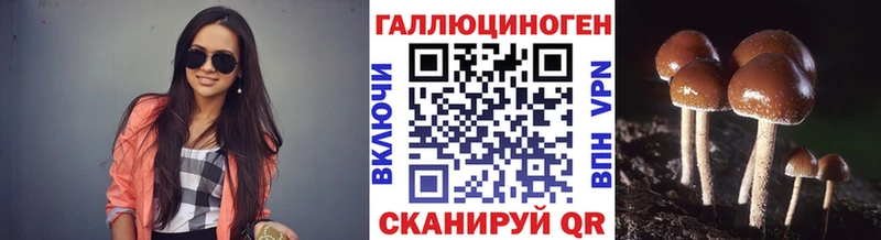 Псилоцибиновые грибы MAGIC MUSHROOMS  Рубцовск 